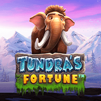 Vận May Tundra screenshot